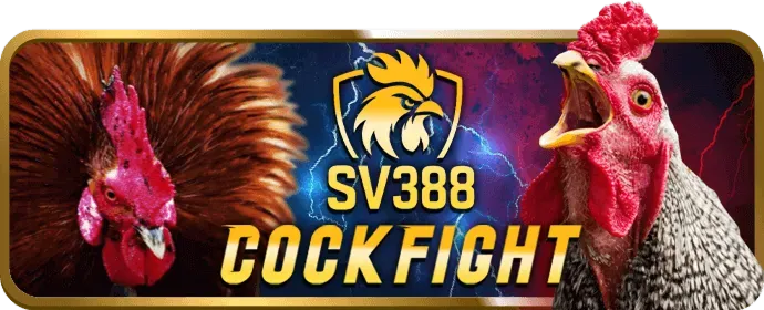 Nhập thông tin tài khoản 33win33